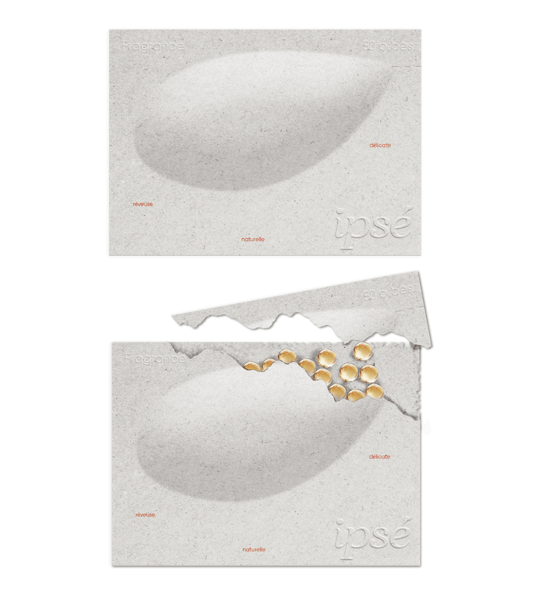 Capture d’écran 2026-02-11 à 16.58.56
